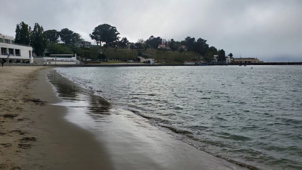 Sandy beach for open water swimming at Aquatic Park