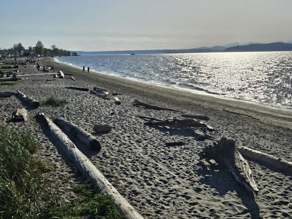 Long western view of swimming area at Alki Beach