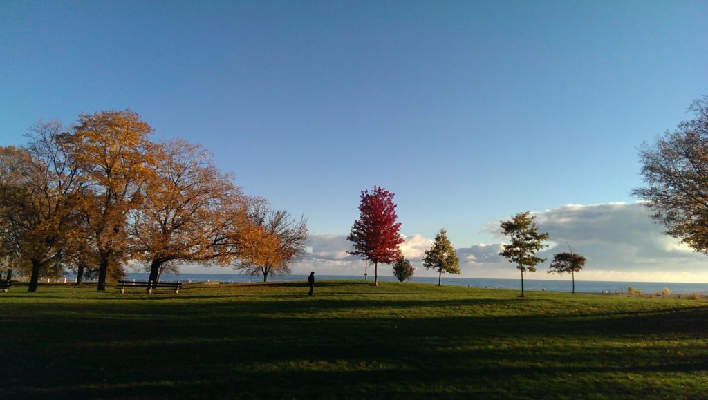 Fall day and colorful trees in Loyola Beach Park