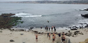 Open Water swimmers on the beach at La Jolla Cove