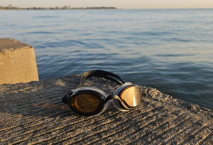 Snake and Pig Basilisk Open water swim Goggle, among the most comfortable swim goggles tested